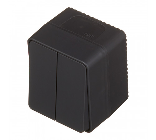 Выключатель Systeme Electric AtlasDesign Profi54 двухклавишный накладной антрацит (ATN544051) Выключатель Systeme Electric AtlasDesign Profi54 двухклавишный накладной антрацит (ATN544051)