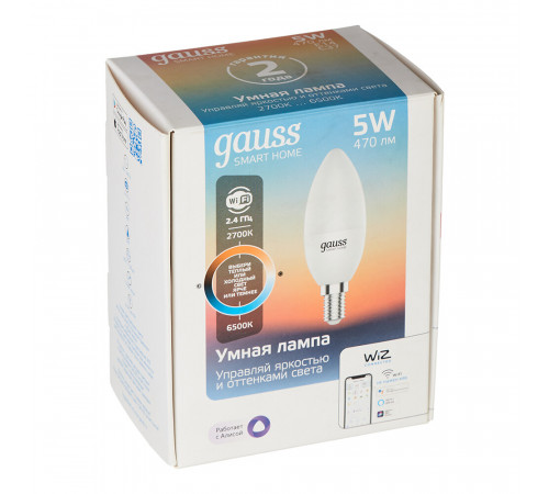 Лампа умная Gauss Smart Home светодиодная диммируемая E14 5 Вт теплый/холодный 2700-6500 К IP20 свеча Лампа умная Gauss Smart Home светодиодная диммируемая E14 5 Вт теплый/холодный 2700-6500 К IP20 свеча