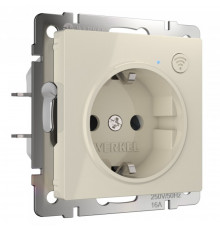 Умная розетка Werkel Minimir Home (W1171603) скрытая установка слоновая кость с заземлением
