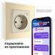 Умная розетка Werkel Minimir Home (W1171603) скрытая установка слоновая кость с заземлением