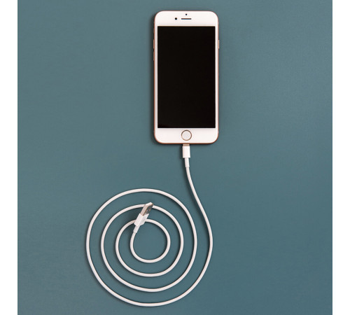 Кабель USB-A/Lightning Rexant 2,4 А 1 м (18-0000) Кабель USB-A/Lightning Rexant 2,4 А 1 м (18-0000)