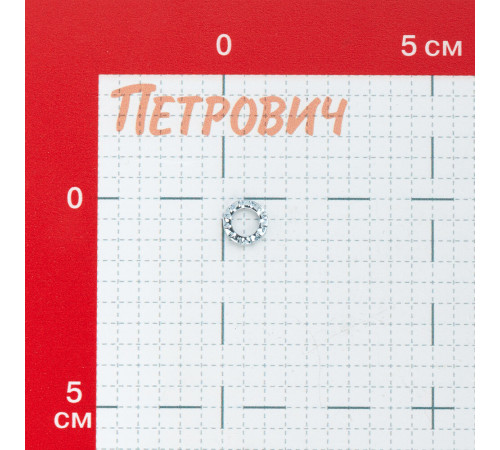 Шайба стопорная оцинкованная 6x11 мм DIN 6798 (12 шт.)