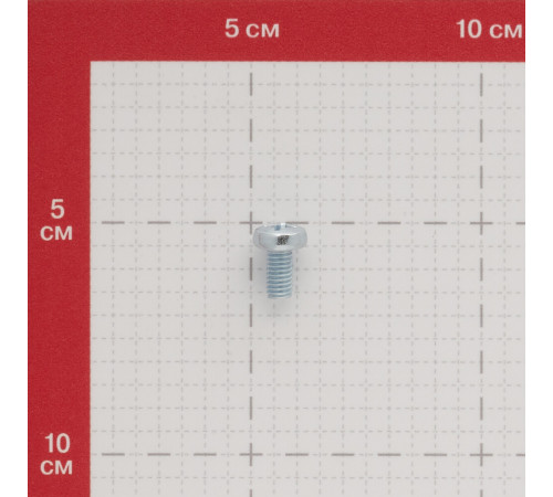 Винт оцинкованный M6x12 мм DIN 7985 полукруглая головка (12 шт.)