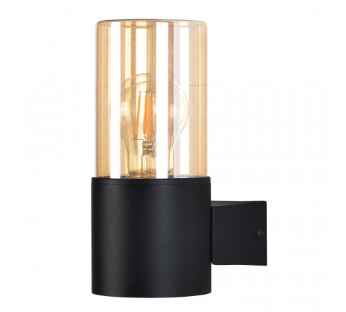 Светильник садово-парковый настенный Arte Lamp Seginus черный E27 40 Вт IP54 (A6515AL-1BK)