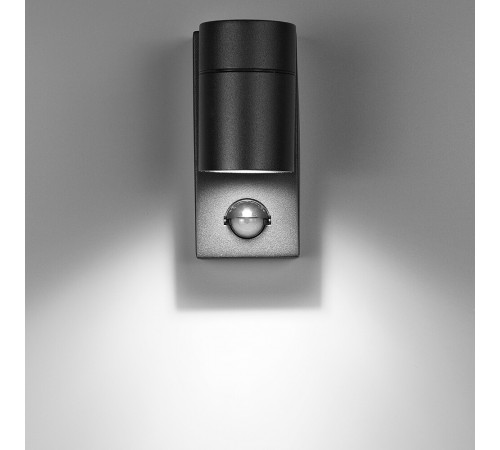 Светильник садово-парковый настенный Arte Lamp Mistero черный GU10 35 Вт IP54 (A3322AL-1BK) Светильник садово-парковый настенный Arte Lamp Mistero черный GU10 35 Вт IP54 (A3322AL-1BK)