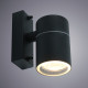 Светильник садово-парковый настенный Arte Lamp Mistero GU10 35 Вт IP44 (A3302AL-1BK)
