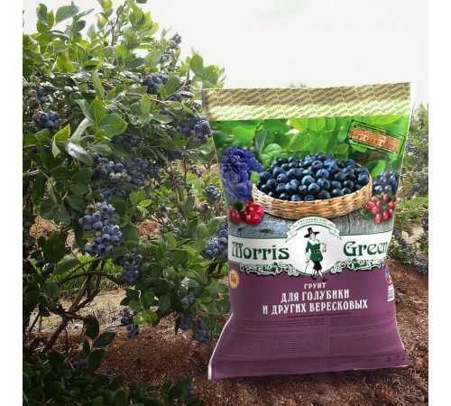 Почвогрунт Morris Green для голубики и других вересковых 65 л Почвогрунт Morris Green для голубики и других вересковых 65 л