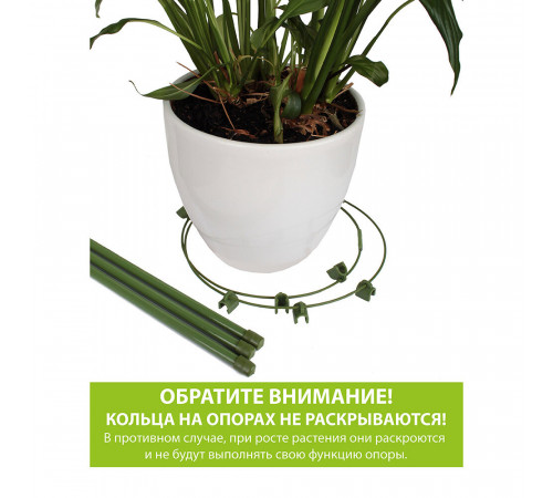 Опора для растений Garden Show круглая металл 400 мм (466336) Опора для растений Garden Show круглая металл 400 мм (466336)