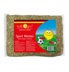 Семена газонной травы Sport Meister Gras Газон Сити 0,3 кг