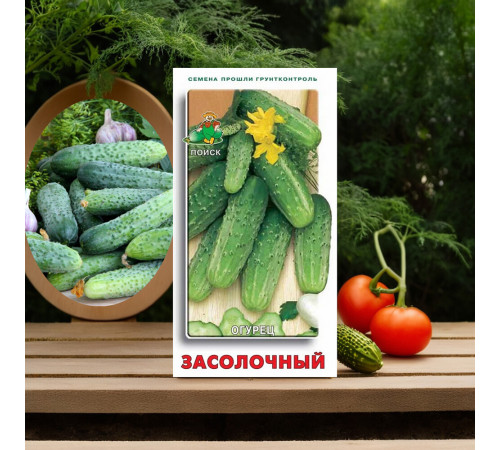 Огурец Засолочный Поиск 12 шт.