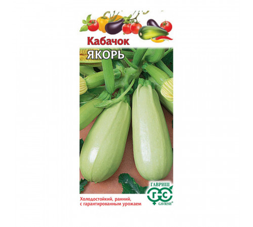 Кабачок Якорь Поиск 2 г Кабачок Якорь Поиск 2 г