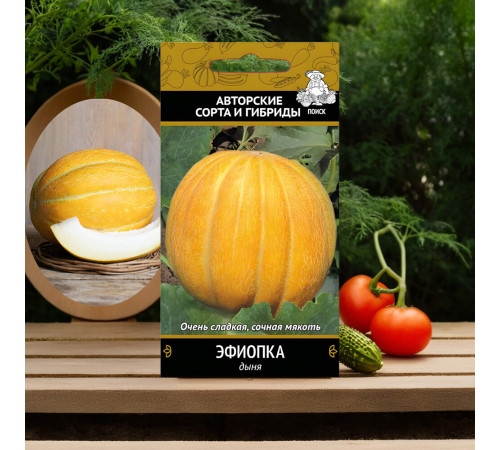 Дыня Эфиопка Поиск 100 шт. Дыня Эфиопка Поиск 100 шт.