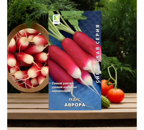 Редис Аврора Поиск 2 г Редис Аврора Поиск 2 г