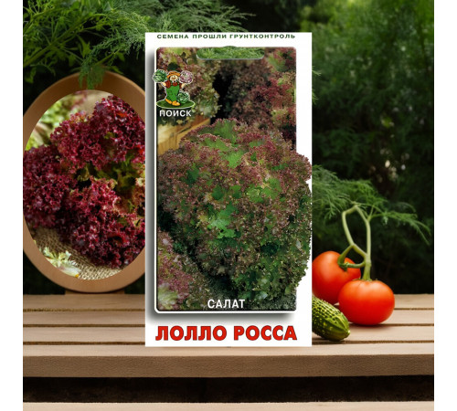 Салат Лолло Росса Поиск 1 г Салат Лолло Росса Поиск 1 г