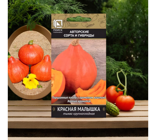 Тыква крупноплодная Красная малышка Поиск 10 шт.