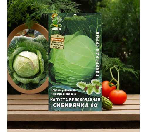 Капуста белокочанная Сибирячка 60 Поиск 0,2 г Капуста белокочанная Сибирячка 60 Поиск 0,2 г
