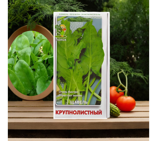Щавель Крупнолистный Поиск 0,1 г Щавель Крупнолистный Поиск 0,1 г
