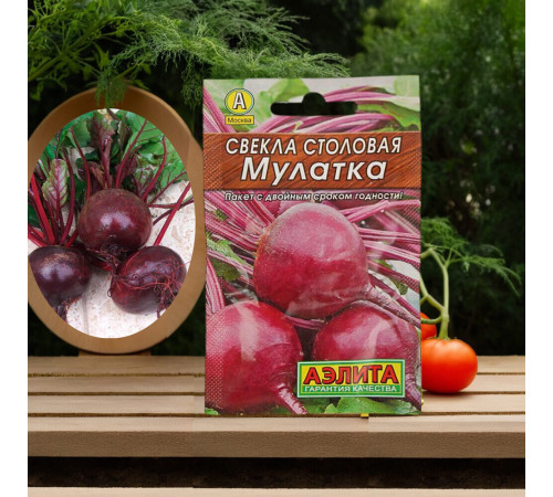 Свекла столовая Мулатка Аэлита 2 г Свекла столовая Мулатка Аэлита 2 г