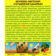 Морковь Нантская улучшенная сахарная Аэлита 300 шт.