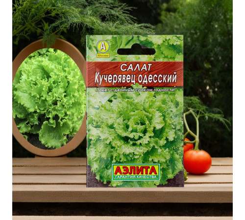 Салат Кучерявец Одесский полукочанный Аэлита 0,5 г