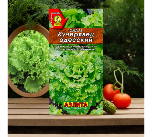 Салат Кучерявец Одесский полукочанный Аэлита 0,5 г Салат Кучерявец Одесский полукочанный Аэлита 0,5 г