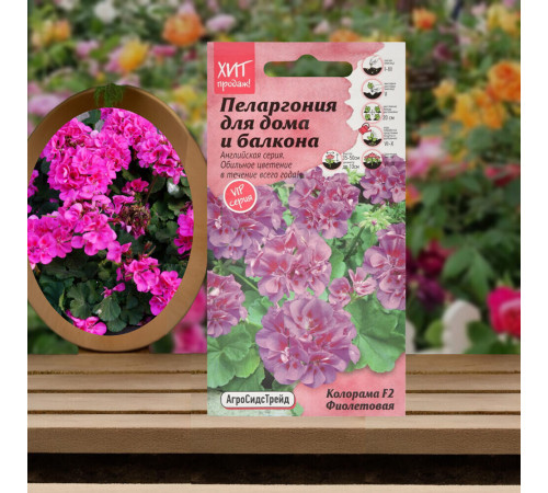 Пеларгония Колорама F2 фиолетовая Агросидстрейд 3 г Пеларгония Колорама F2 фиолетовая Агросидстрейд 3 г
