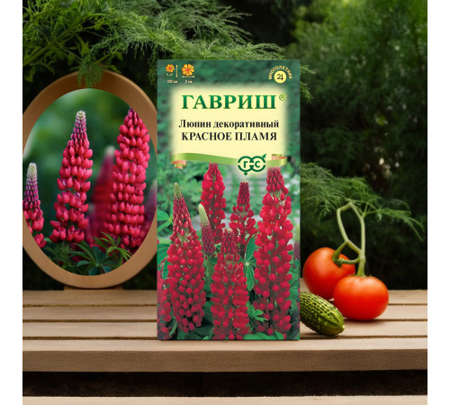 Люпин декоративный Красное пламя Гавриш 0,5 г