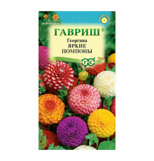 Георгина Яркие помпоны Гавриш 0,2 г