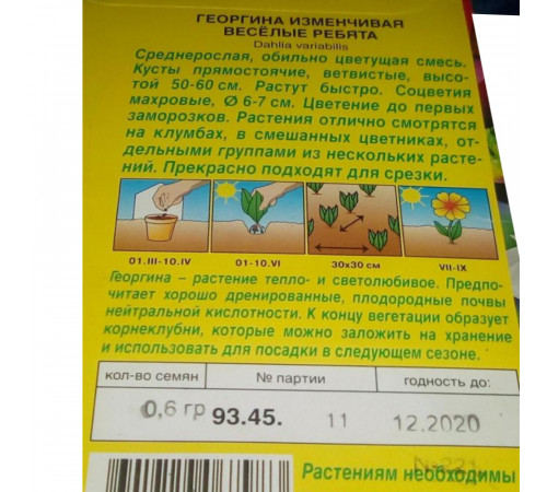 Георгина Веселые ребята смесь сортов Аэлита 0,2 г Георгина Веселые ребята смесь сортов Аэлита 0,2 г