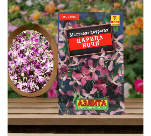 Маттиола Царица ночи Аэлита 0,3 г Маттиола Царица ночи Аэлита 0,3 г