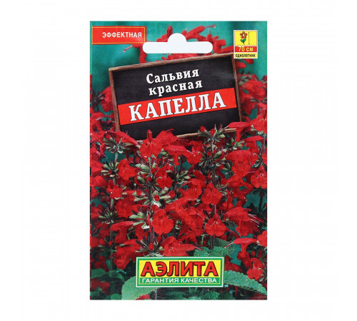 Сальвия красная Капелла Аэлита 0,1 г Сальвия красная Капелла Аэлита 0,1 г