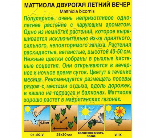 Маттиола Летний вечер Аэлита 1 г Маттиола Летний вечер Аэлита 1 г