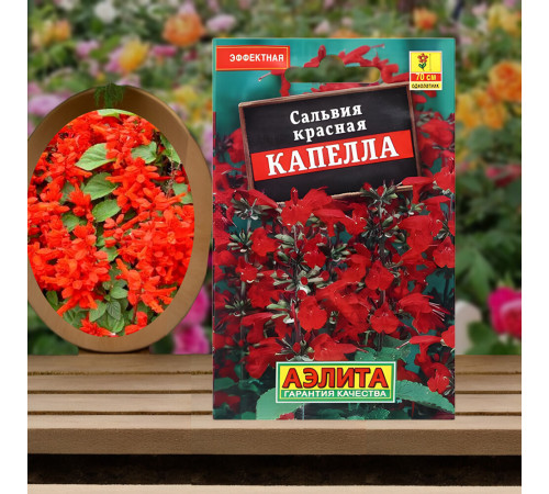 Сальвия красная Капелла Аэлита 0,1 г Сальвия красная Капелла Аэлита 0,1 г