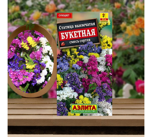 Статица Букетная смесь сортов Аэлита 0,2 г Статица Букетная смесь сортов Аэлита 0,2 г