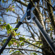 Сучкорез плоскостной Plantic Light SoftTouch силовой привод Powercut (25266-01)