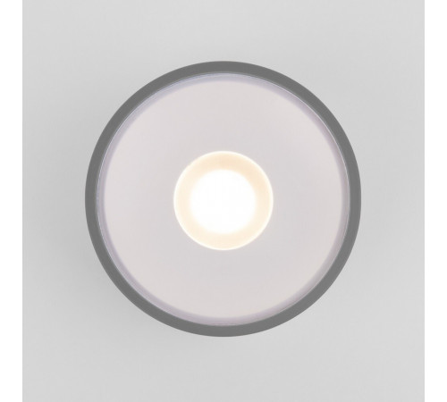 Светильник светодиодный садово-парковый накладной Elektrostandard Light LED серый 52 мм 4000К 12 Вт IP65 (35141/H)