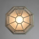 Светильник садово-парковый настенный Arte Lamp Pegasus бело-золотой E27 60 Вт IP44 (A3121PF-1WG)
