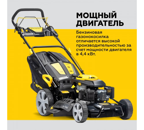 Газонокосилка бензиновая Champion LM5345 6 л.с. Газонокосилка бензиновая Champion LM5345 6 л.с.