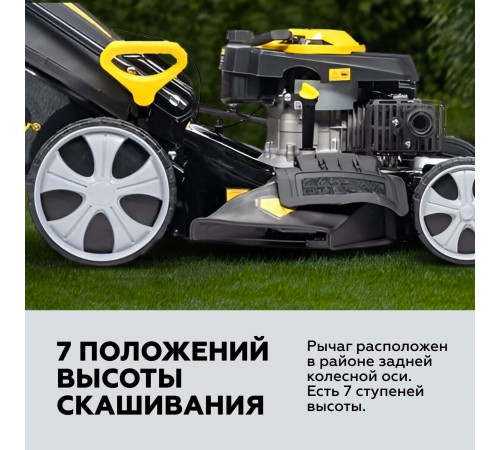 Газонокосилка бензиновая Champion LM5345 6 л.с. Газонокосилка бензиновая Champion LM5345 6 л.с.