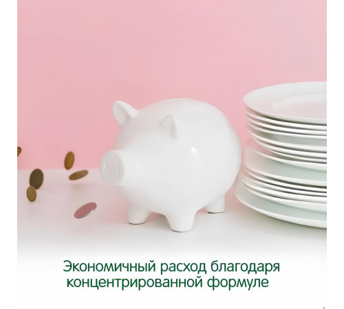 Средство Grass Gloss Concentrate для удаления налета и ржавчины концентрат 5 л