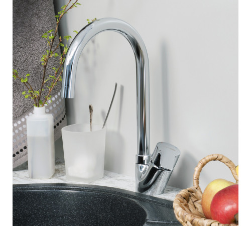 Смеситель для кухни WasserKraft Ruhr хром с высоким изливом однорычажный (24407) Смеситель для кухни WasserKraft Ruhr хром с высоким изливом однорычажный (24407)