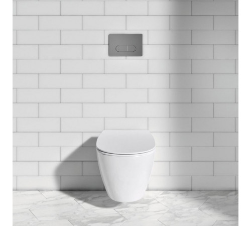 Клавиша смыва для инсталляций Ideal Standard Prosys Oleas хром (R0115AA) Клавиша смыва для инсталляций Ideal Standard Prosys Oleas хром (R0115AA)