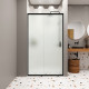 Душевая дверь Domani-Spa DoorCube стекло матовое 100х190 см профиль черный 5 мм раздвижная (DS04DCb100L0M00.Gt-Black)