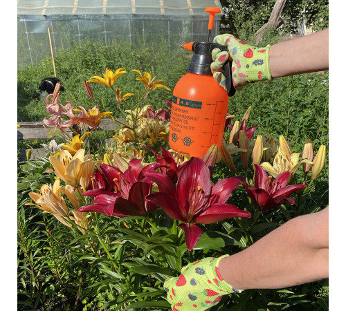 Перчатки полиэстеровые с латексным обливом Garden Show 466717 9 (L) Перчатки полиэстеровые с латексным обливом Garden Show 466717 9 (L)