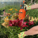 Перчатки полиэстеровые с латексным обливом Garden Show 466717 9 (L)